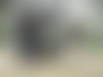 Concretan nueva liberación de cardenales amarillos en La Pampa