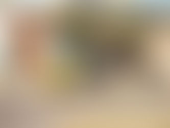 Conocé los días para sacar tus residuos especiales en zona 5 y 6