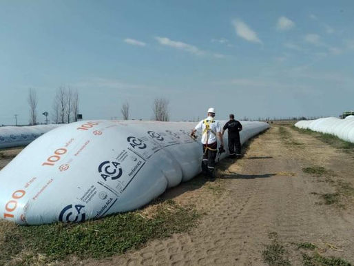 LA AFIP INCAUTÓ 2656 TONELADAS DE GRANOS EN UNA ACEITERA Y EN PLANTAS DE ALIMENTO BALANCEADO