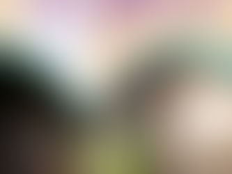 Domingo 4: llega la feria regional de emprendedores y "Pico Desfila"