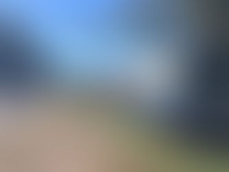 Once alcoholemias positivas en operativos de control