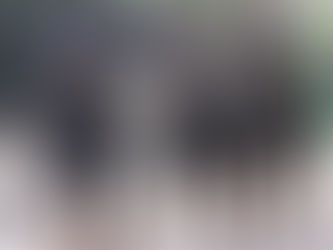 Un chico de 11 años se encuentra en grave estado tras ser atacado por 3 rottweilers en Bahía Blanca