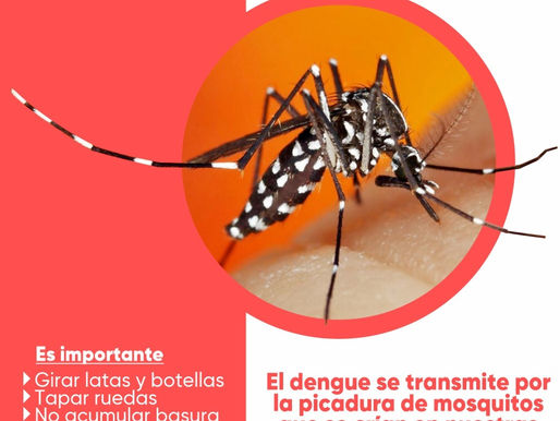 Se confirmaron dos casos de Dengue en La Pampa