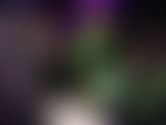 El Municipio desplegará el programa "Conductor Designado" en "Fábula"