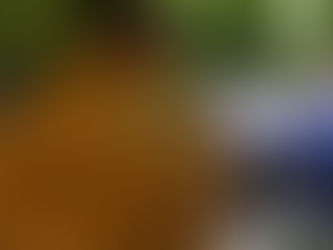 Recursos del Gobierno nacional para paliar los efectos de los incendios