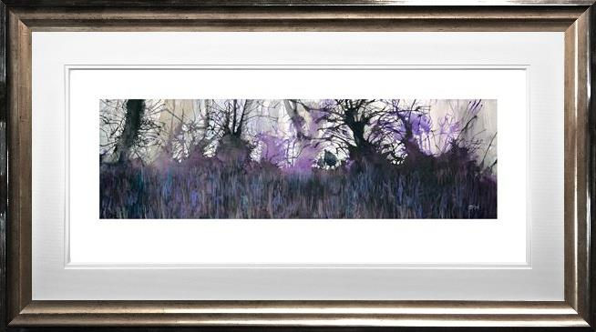 Bluebells Galore