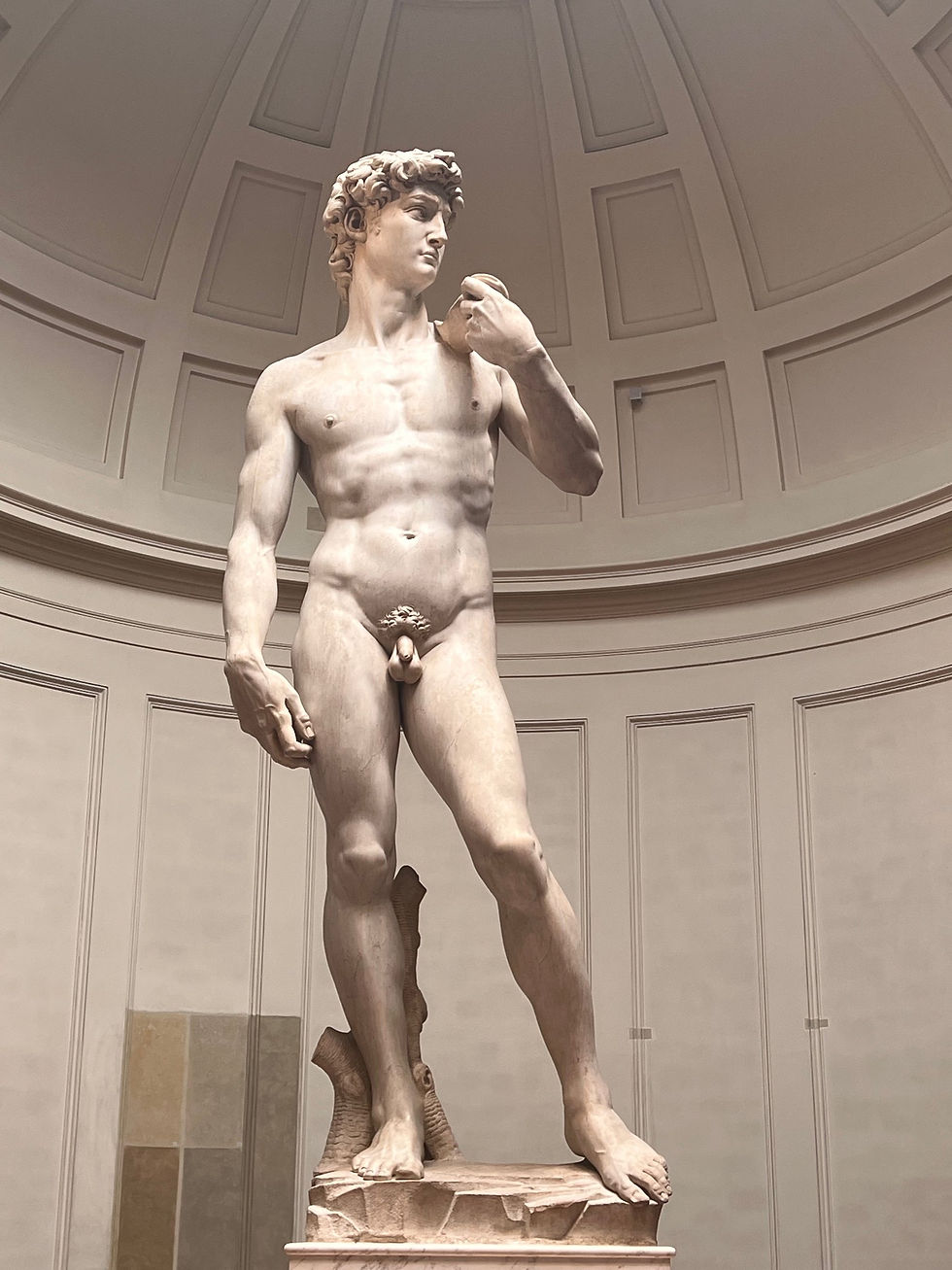 Michelangelo's marble statue of David standing in the domed Tribune of the Galleria dell'Accademia, Florence