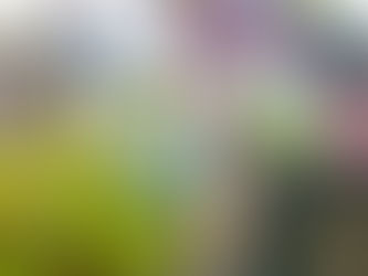 雨上がりのお散歩💧