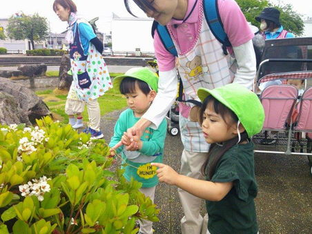 雨上がりのお散歩💧