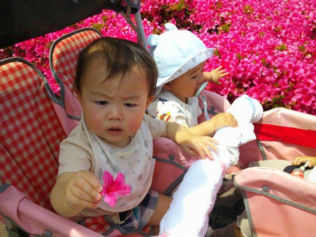 お花きれいだね~♡