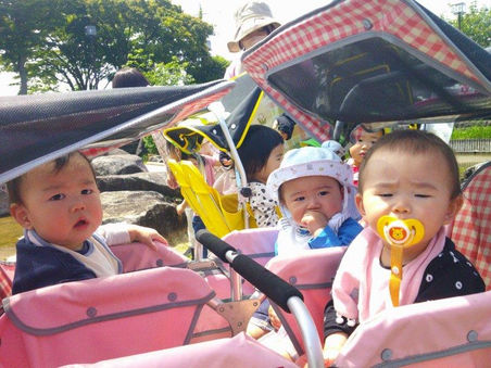 ぽかぽか陽気☀