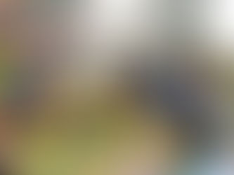 歯磨き🦷シュッシュッ!