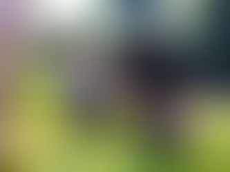 お散歩に行きました。