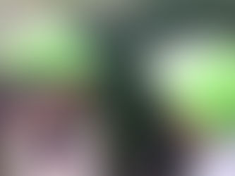 秋の植物見つけたよ!