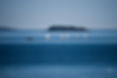 DSC_0342.jpg
