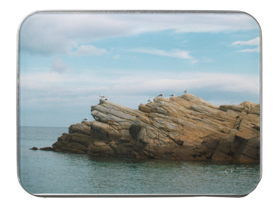 Thumbnail: Seagulls of Elba - Acrylic Puzzle