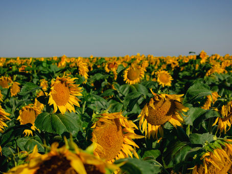 Best Summer Nature Locations around Peru, Indiana