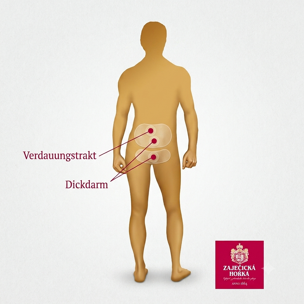 Zajecicka Horka Dickdarm