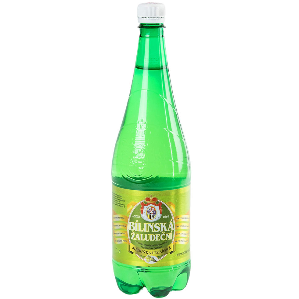 Bilinska Zaludecni 1l Heilwasser