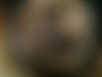 entretien-moteur-escargot-hotte-2