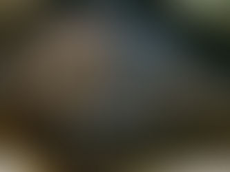 nettoyage-hotte-restaurant-pays-loire-2