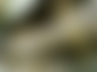 degraissant-hotte-professionnel-2