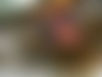 nettoyage-hotte-restaurant-centre-val-loire-2