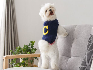 CAINZ