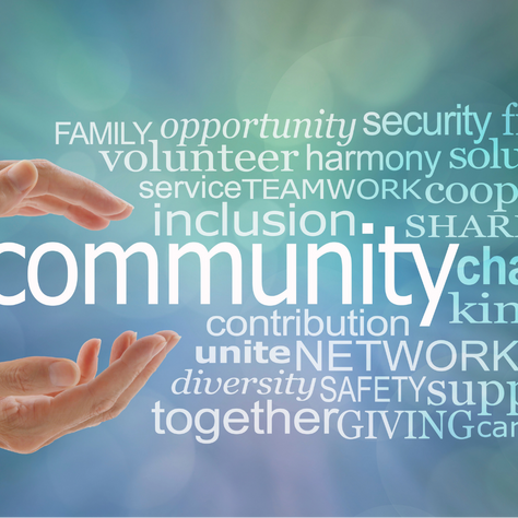 STARTING A COMMUNITY INTEREST COMPANY (CIC)
