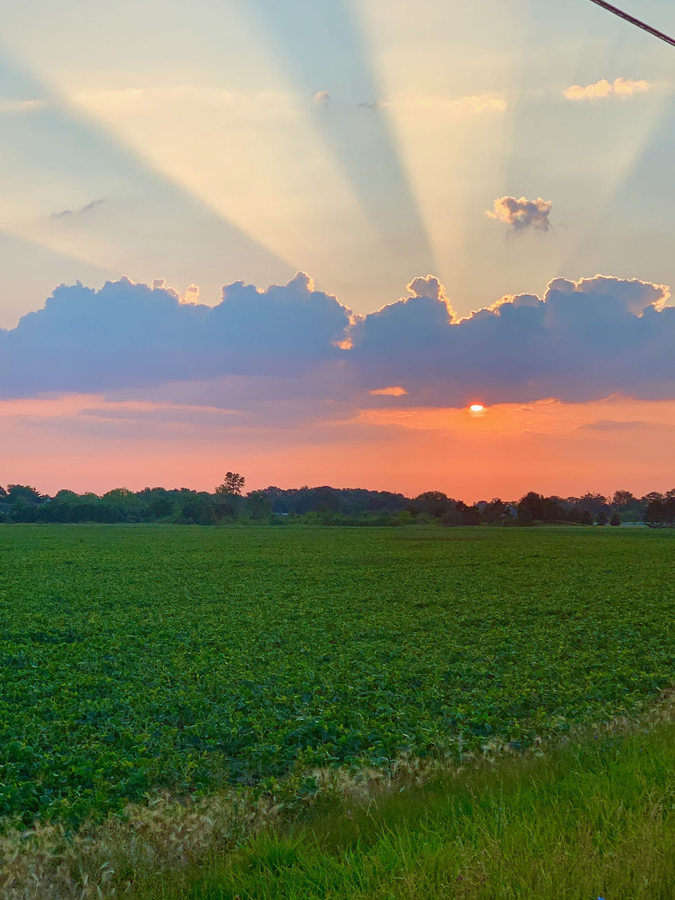 A beautiful sunrise has streaks of sunshine emerging from behind clouds.
