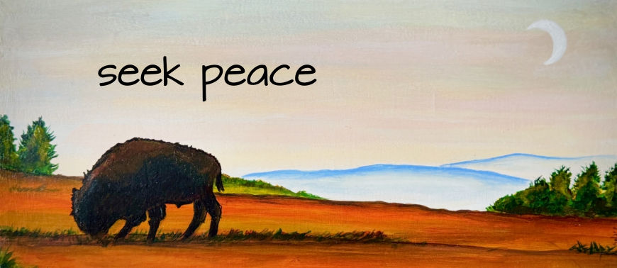A South Dakota buffalo stands on a mountain range with clouds and a quarter moon in the background featuring the words "seek peace."