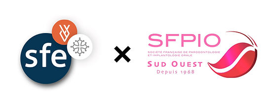 sfe x sfpio.001.jpeg