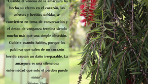 “NUNCA PERMITAS QUE UNA HERIDA EN TU CORAZÓN, SEA MAS GRANDE QUE TU CAPACIDAD DE PERDÓN”. Gn 42:7-9