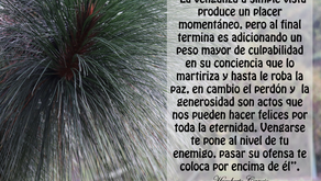 “HAZ EL BIEN A QUIEN TE HACE LLORAR Y LA CONCIENCIA DE TU OFENSOR PONDRÁS A REFLEXIONAR”.