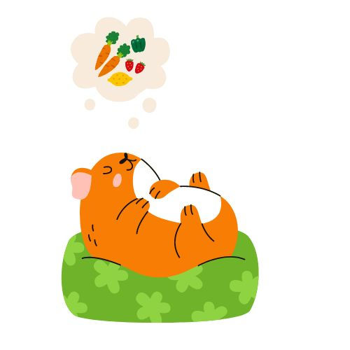 Os cochilos dos porquinhos-da-índia: um ciclo de descanso revigorante