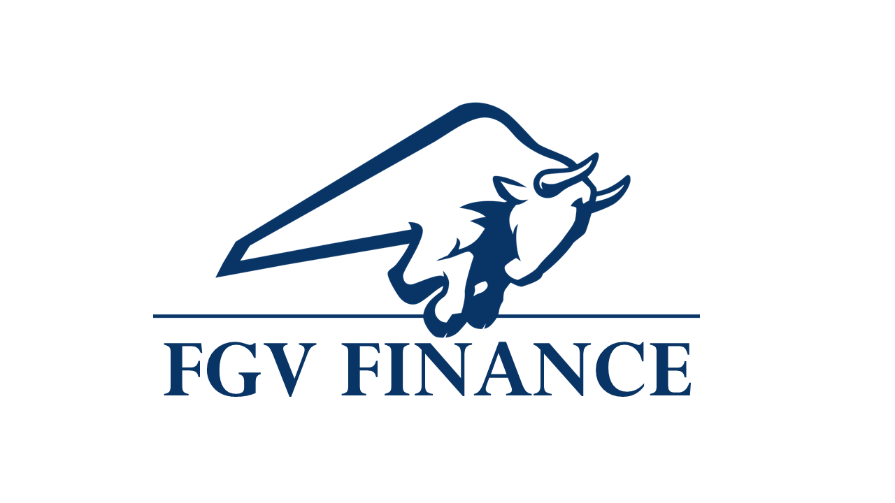 Fgv Consultoria