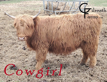 Cowgirl.jpeg