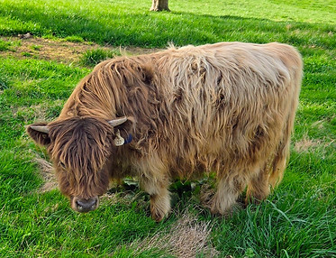 Millie April 05 2025.jpg