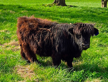 Missy April 05 2025.jpg