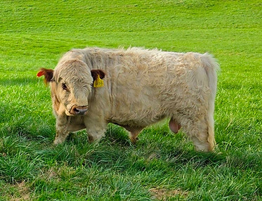 Milo May 05 2025.jpg