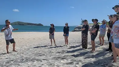 teaching about turtles on beach.webp