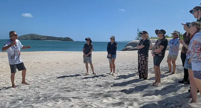 teaching about turtles on beach.webp
