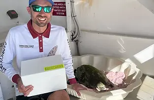 turtle rescue.webp