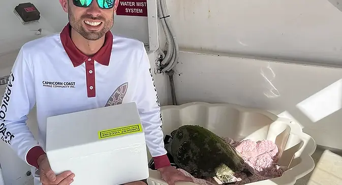 turtle rescue.webp