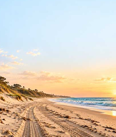 beach-tracks.jpg