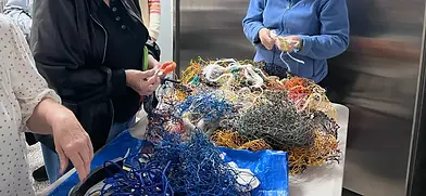 Marine debris - ropes that can tangle turtles copy.webp