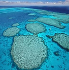 Fitzroy reef.jpeg