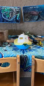 display turtles.webp