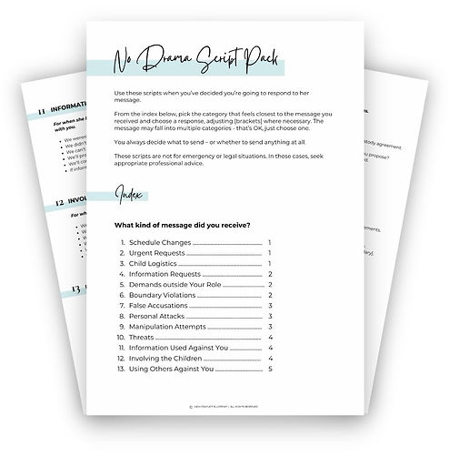 High-Conflict-Blueprint for Stepmoms-No Drama Script Pack.jpg