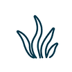 seagrass.png
